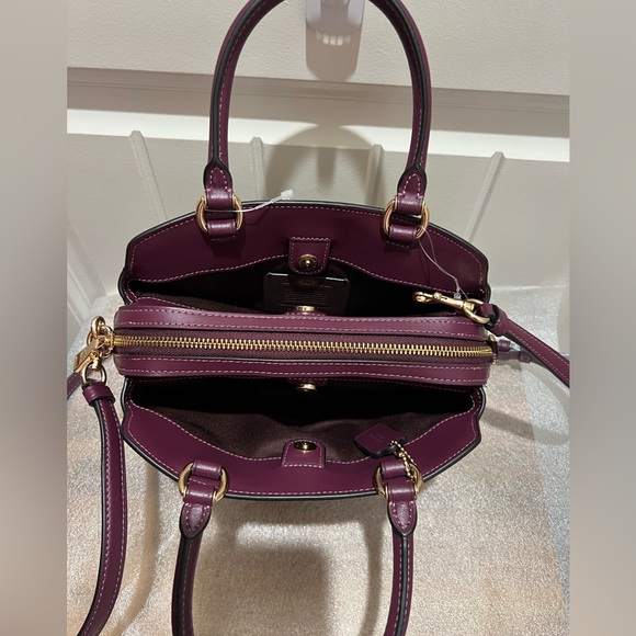 NWT Coach Minnie carryall - Picture 8 of 14